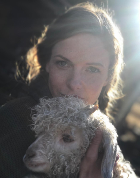 ������ �������� � �������� ���������� 6�